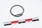 Foto von Bronzering (NHMW-PRAE-024226)